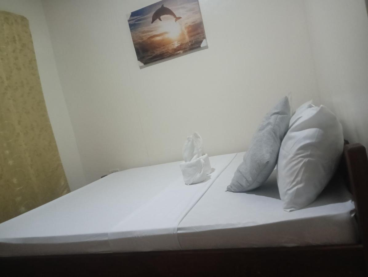 Nay Nildz Pension House San Vicente  Luaran gambar