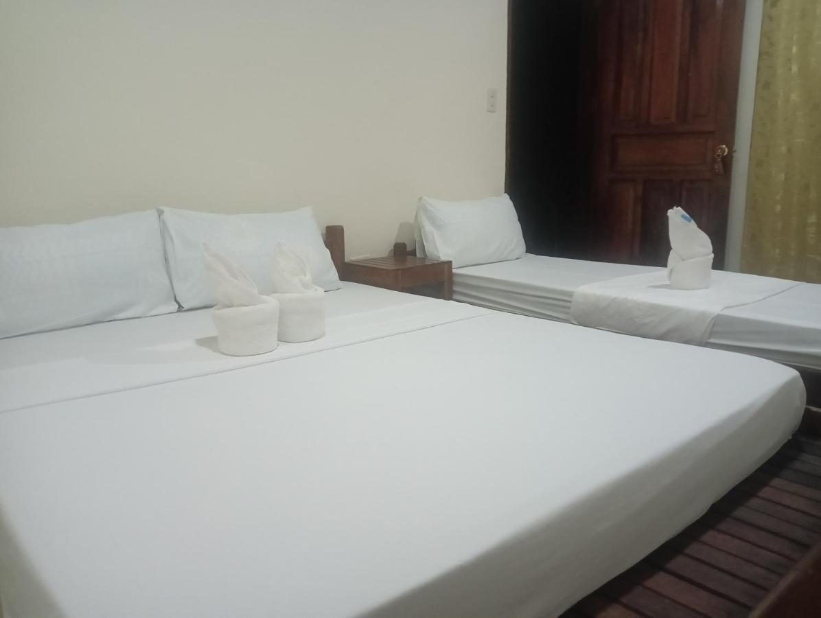 Nay Nildz Pension House San Vicente  Luaran gambar